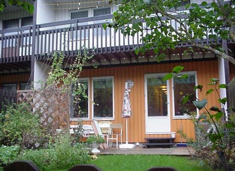 The house from the garden side