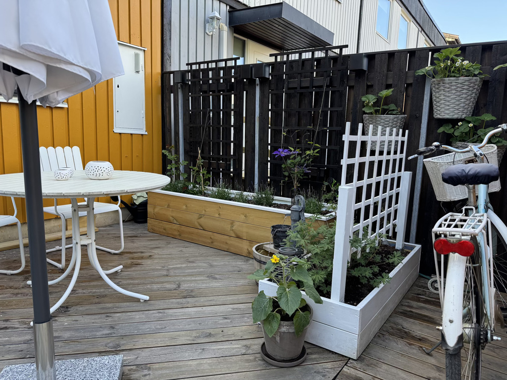 Patio in front of the house