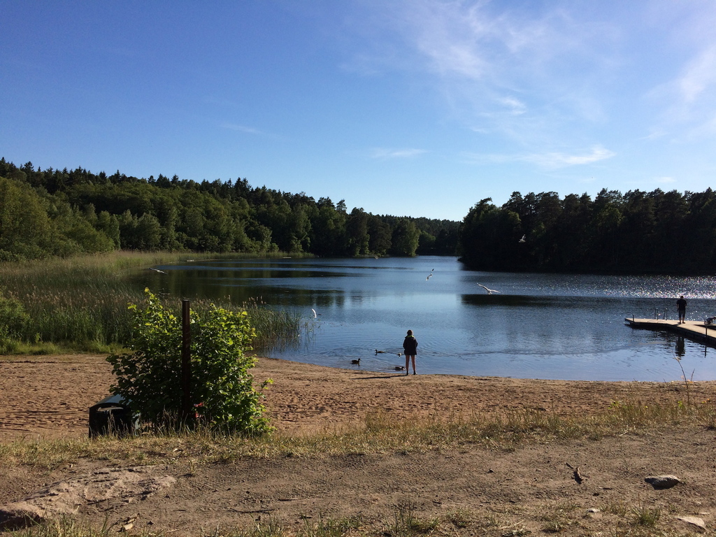 Rösjön/the Rösjö lake (Sollentuna)