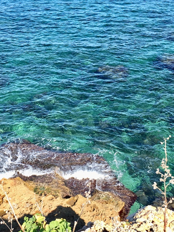 Snorkel from the cliffs in Denia 