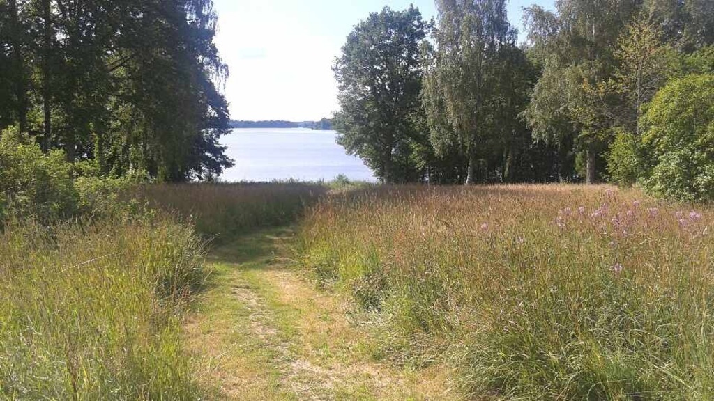 50 meters from our front door