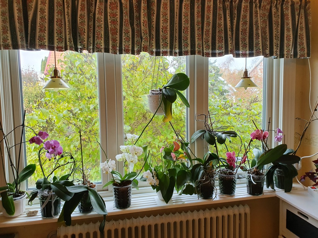 Our kitchen window where we sit and eat