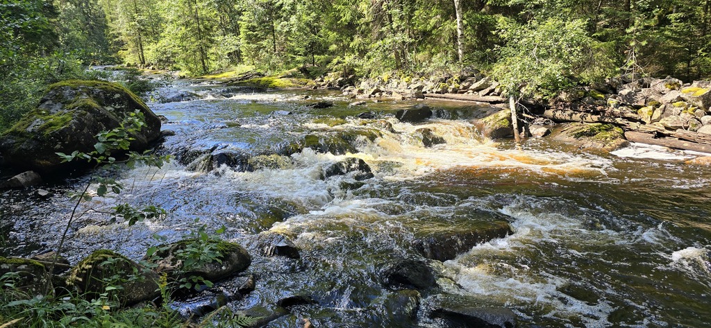 Fänforsens rastplats