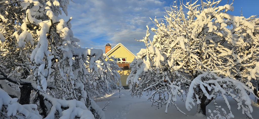 During winter time it can be a lot of snow in the garden