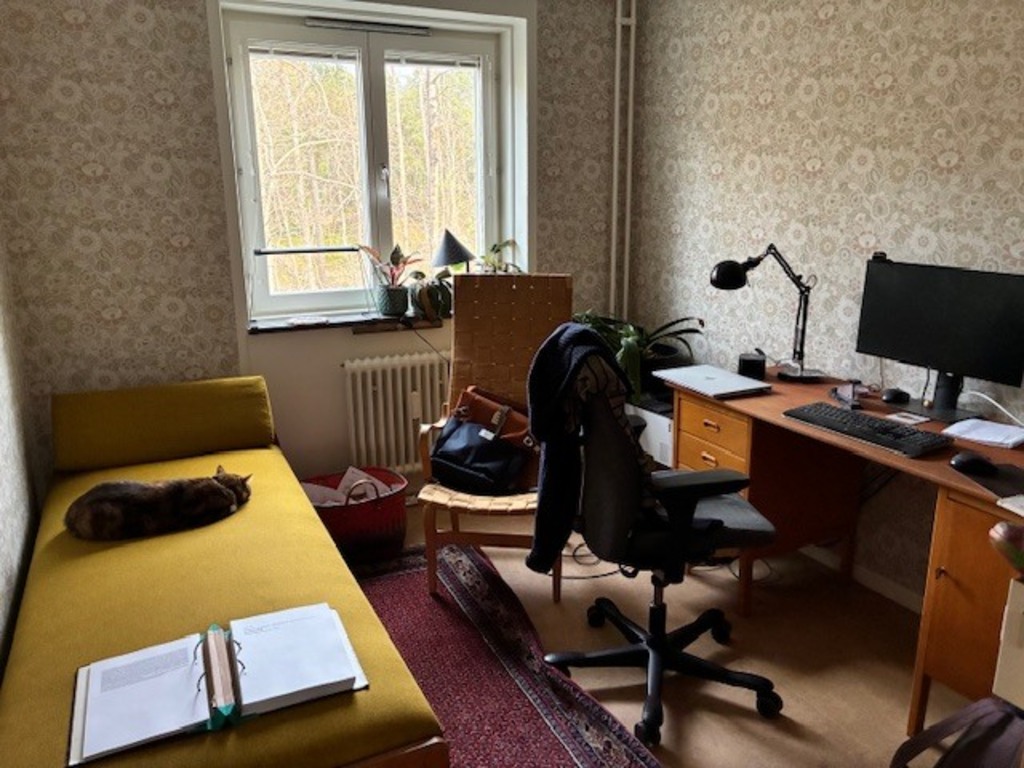 Office with daybed