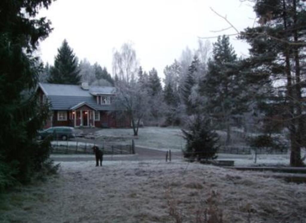 The house from the horses perspective, 7 houses on our little country road