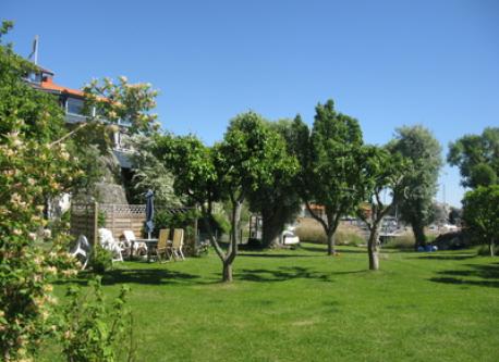 Seating area in the garden