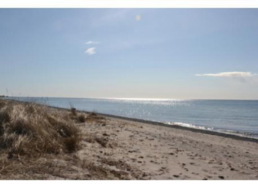 Beach - 200 meters from home