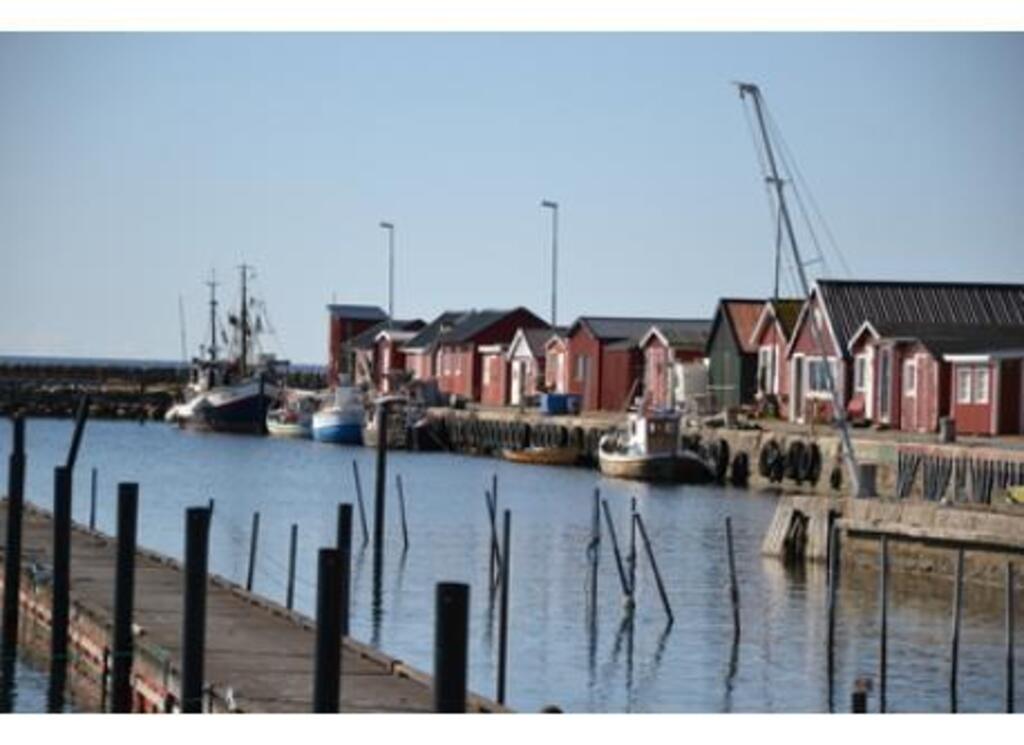 Harbour, 2 kilometers from home