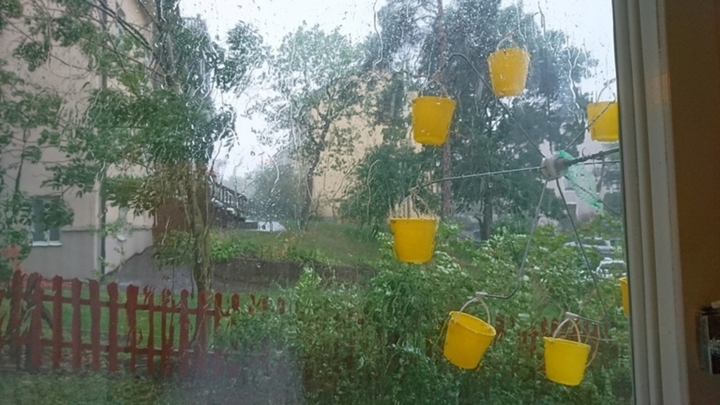 Matkarusell utanför vårt fönster, ni kan mata och titta på småfåglar om ni vill?