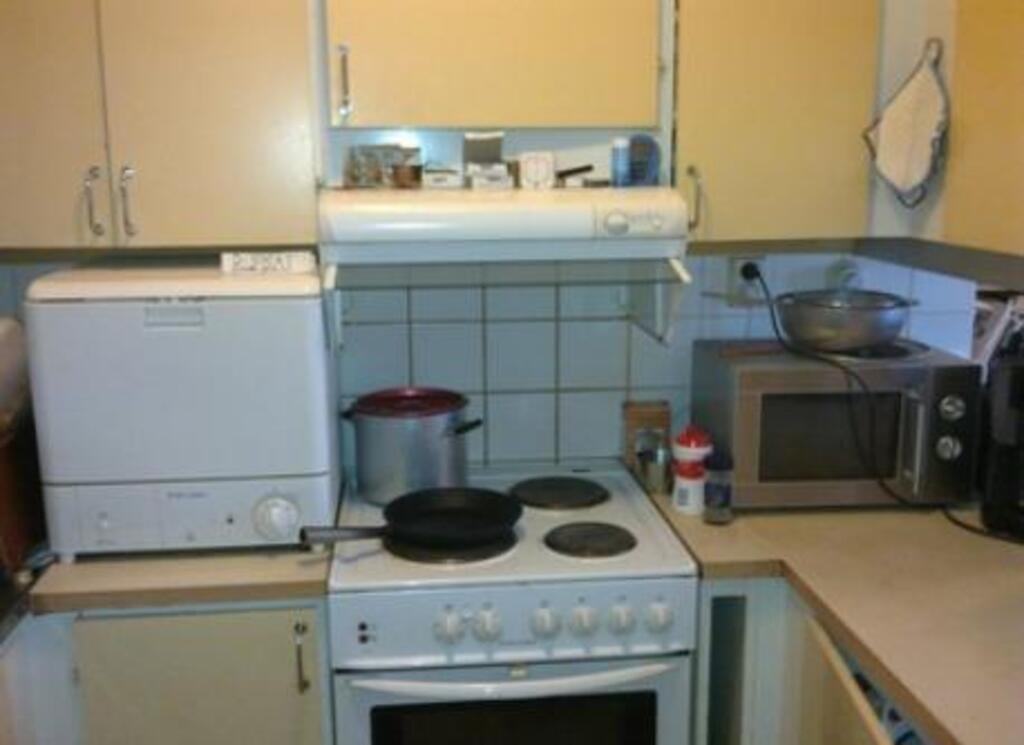 The small kitchen have a new stove induction (not on the foto), an own, dishwasher, a micro, a sink, new fridge and freezer etc.