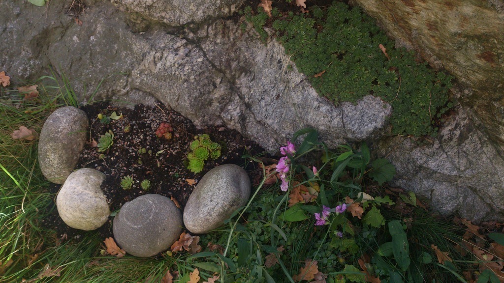 Every flat have a flower-bed or place in the garden.