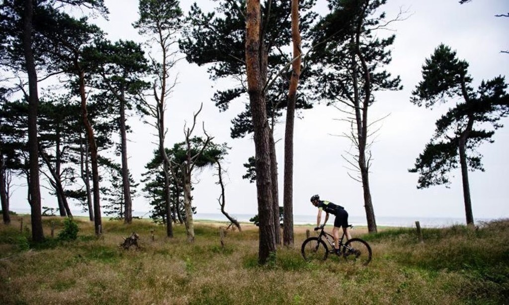 Järavallen, a recreation area is only a few hundreds of meters away