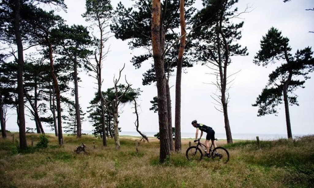 Järavallen, a recreation area is only a few hundreds of meters away