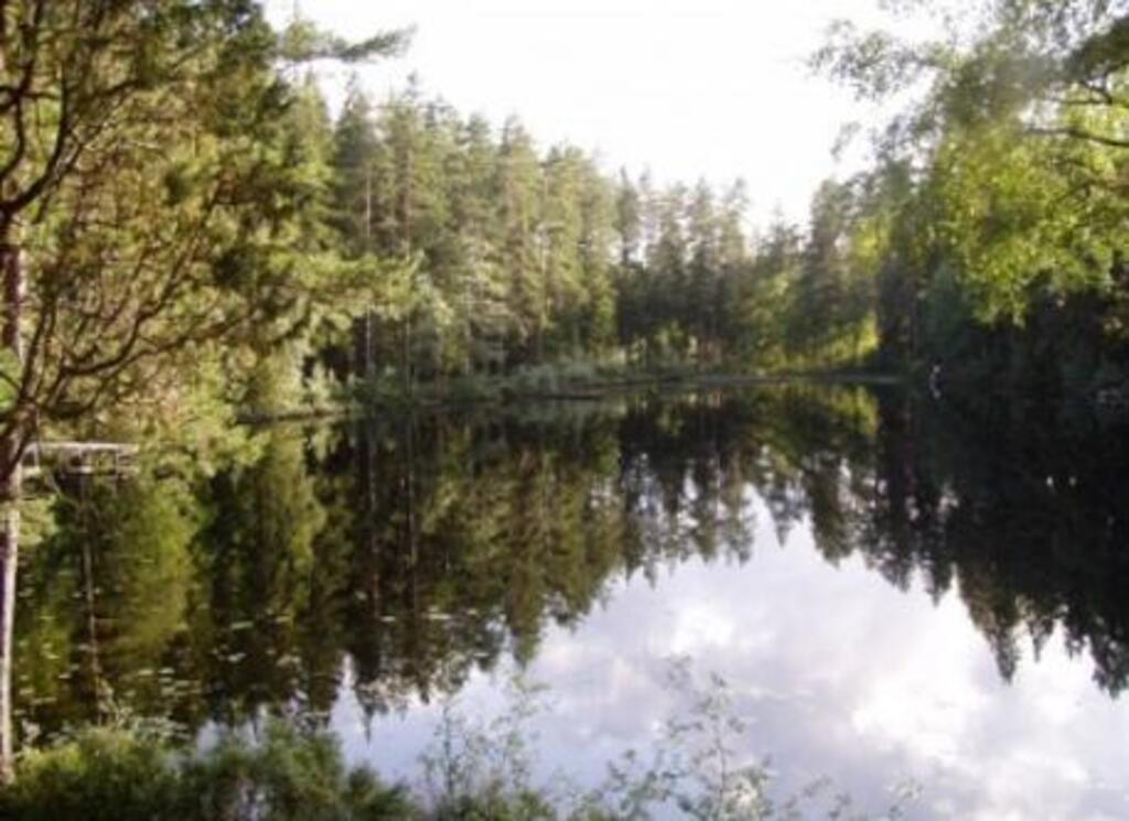 Tiveden national park