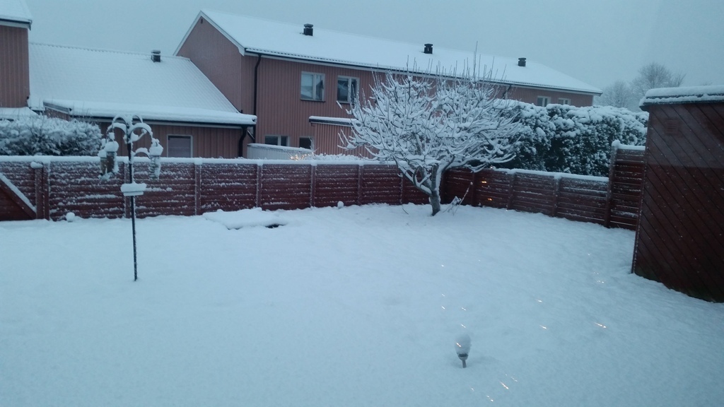 Garden in winter time