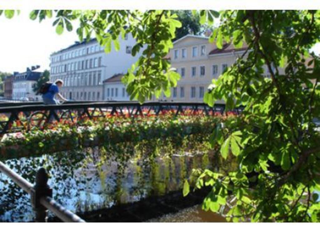 The river Fyris in Uppsala