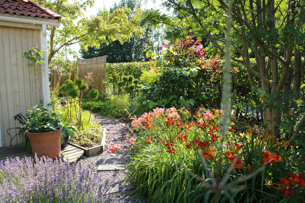 The garden with the birdhouse to the left.