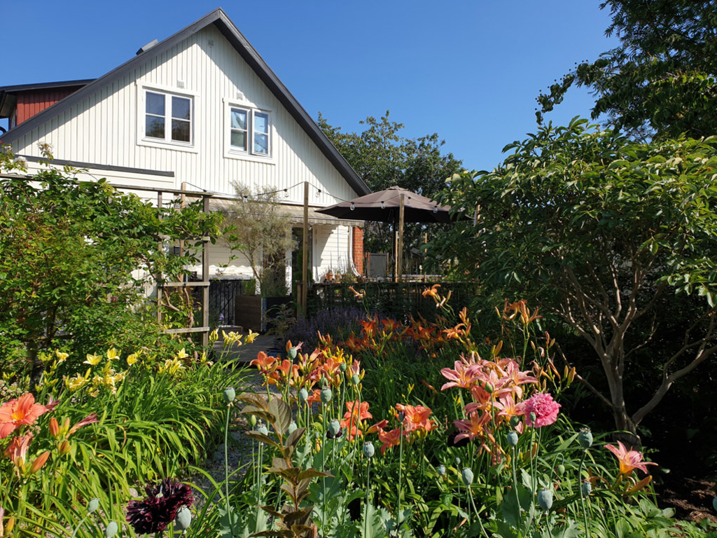 The house and part of the garden.