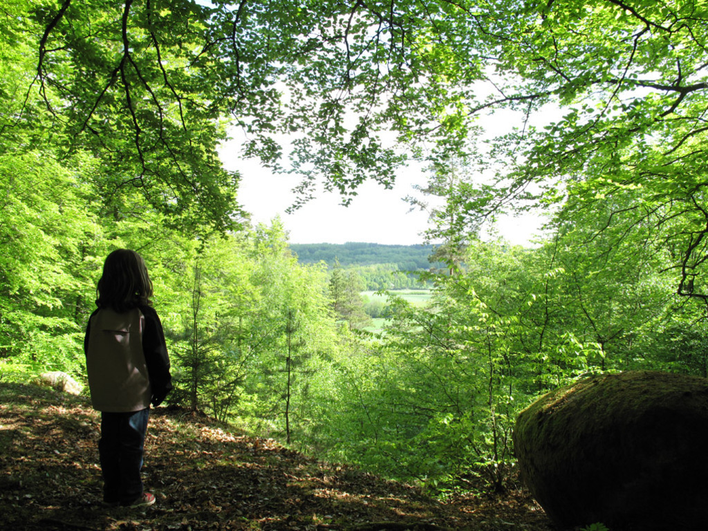 View from Ryssberget, one of the places with walking trails just outside our village.