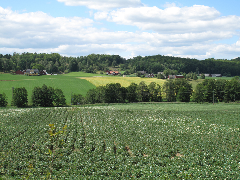 The Sibbarp valley just outside our village.