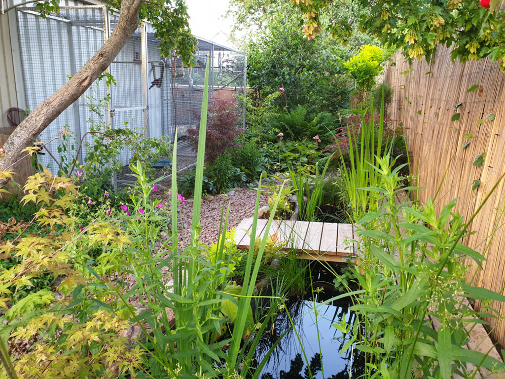 The garden with a small natural pond for wildlife. Bird aviaries to the left.