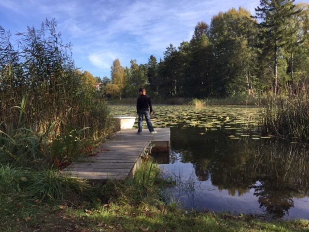 Walking around one of the lakes in Täby