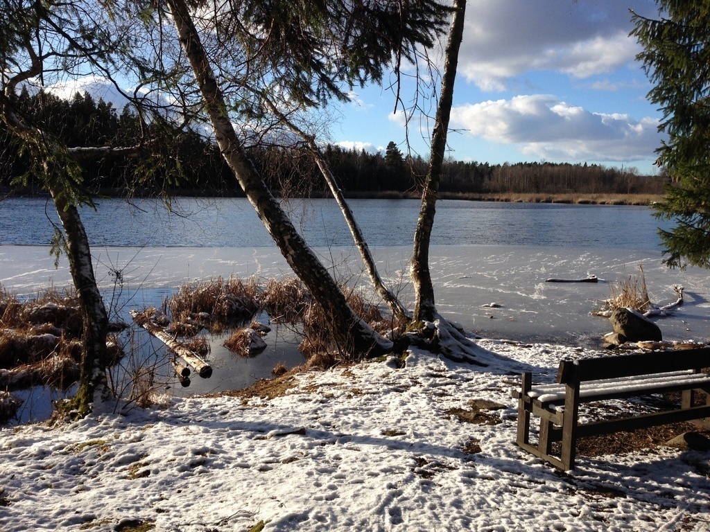 Half frozen lake in March 2015