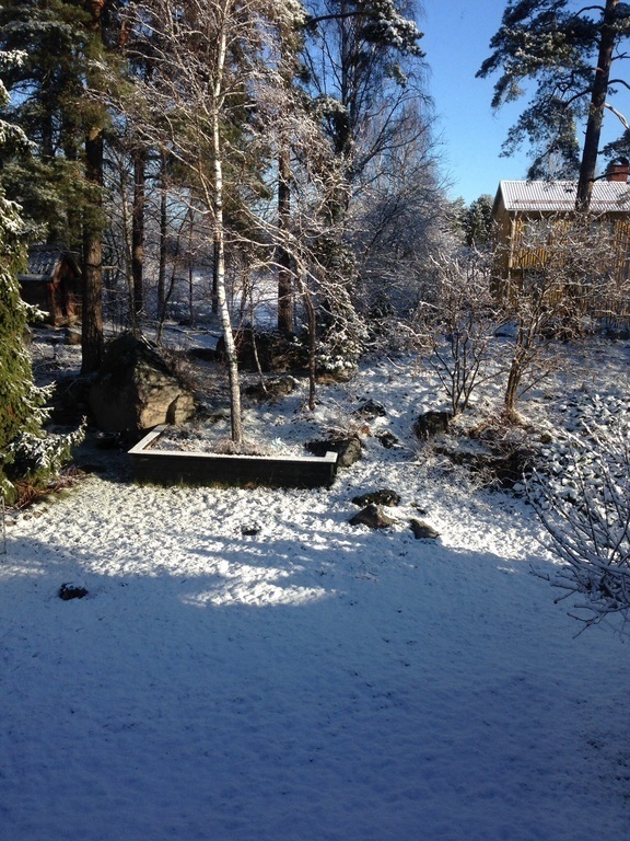 Our garden in the winter