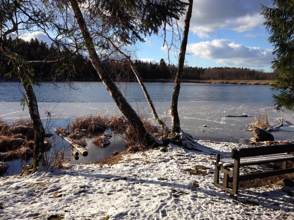 Half frozen lake in March 2015