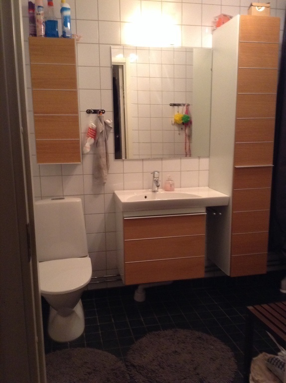 1 of 2 bathrooms; toilet  and bathtub on ground floor