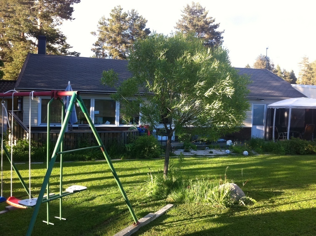 Our house and backyard.