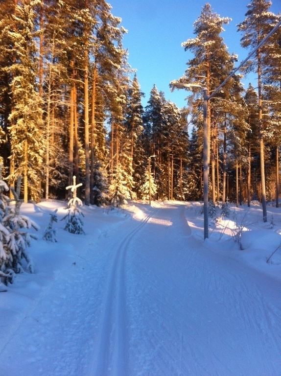 Nearby tracks for cross country skiing in wintertime, or walk and running in summertime.