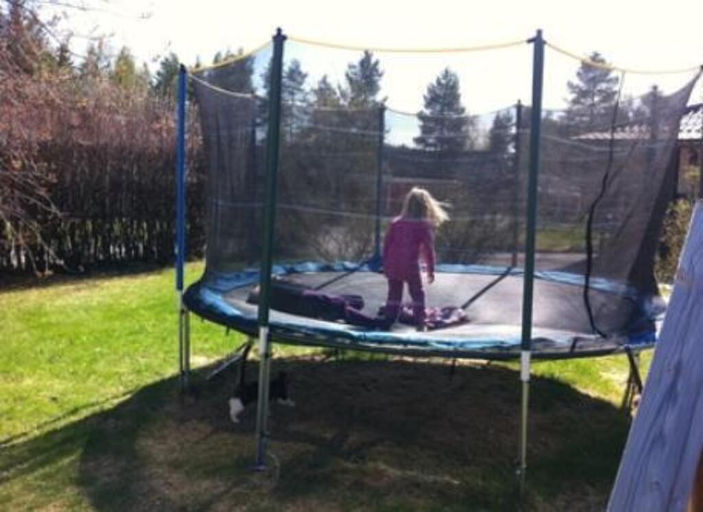 Trampoline in the backyard.