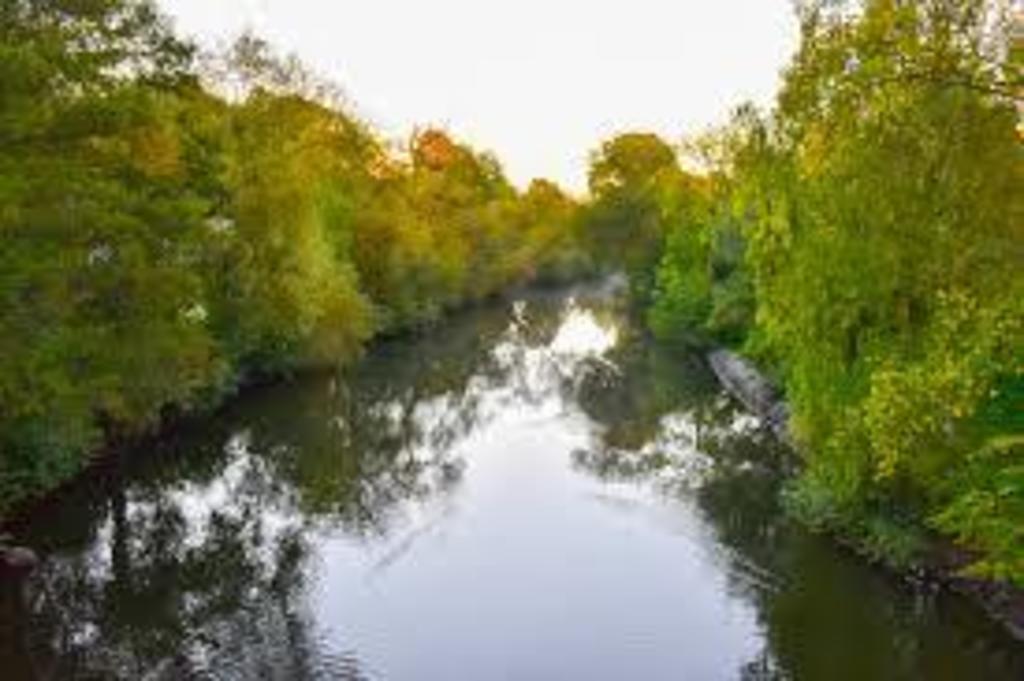 The canal gets surrounded by greenery during summer time. Right outside the sppartment. You can rent boats, SUP, canoes. 
