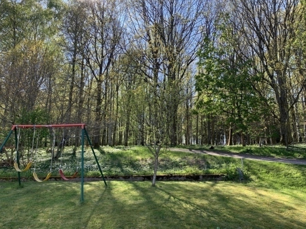 Nature behind our house in spring 