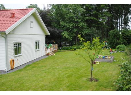 Garden back of the house