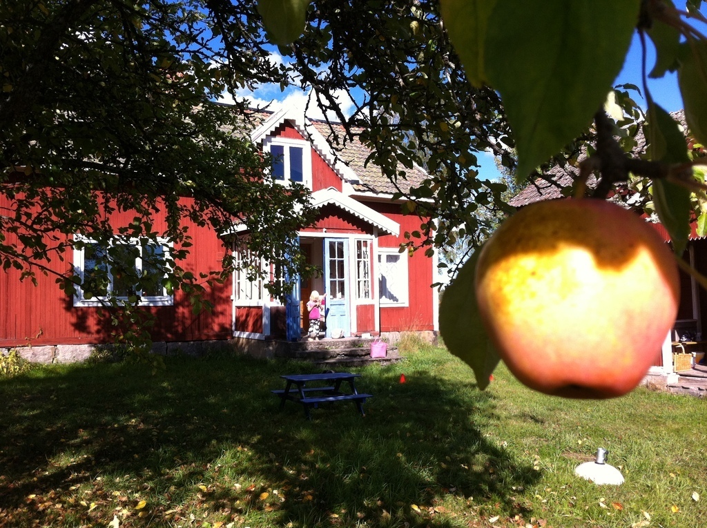 Summerhouse, available for you of course.