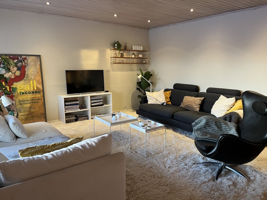 Large living room with door to terrace and garden. Two sofas, TV, large dining table