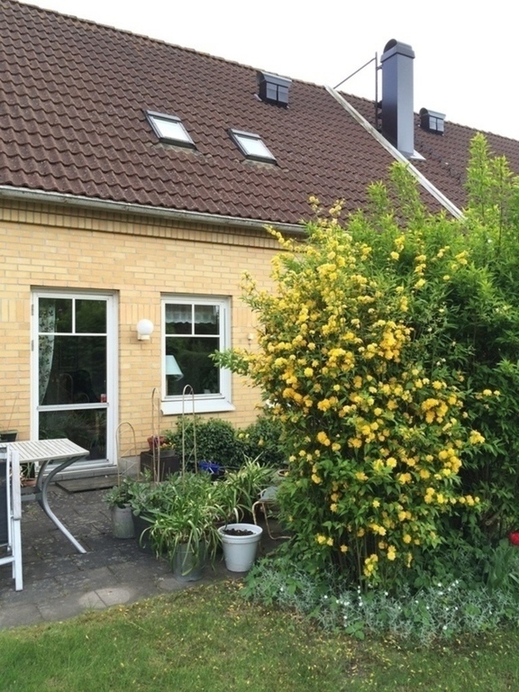 Our house from the garden