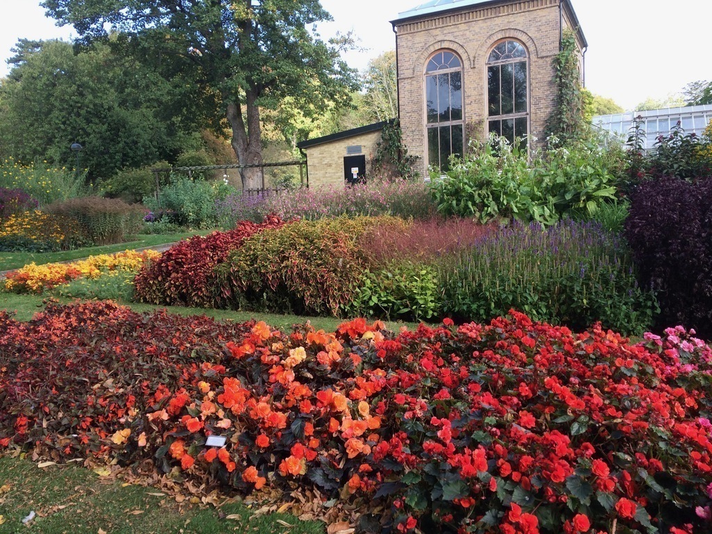 Botanical garden Lund