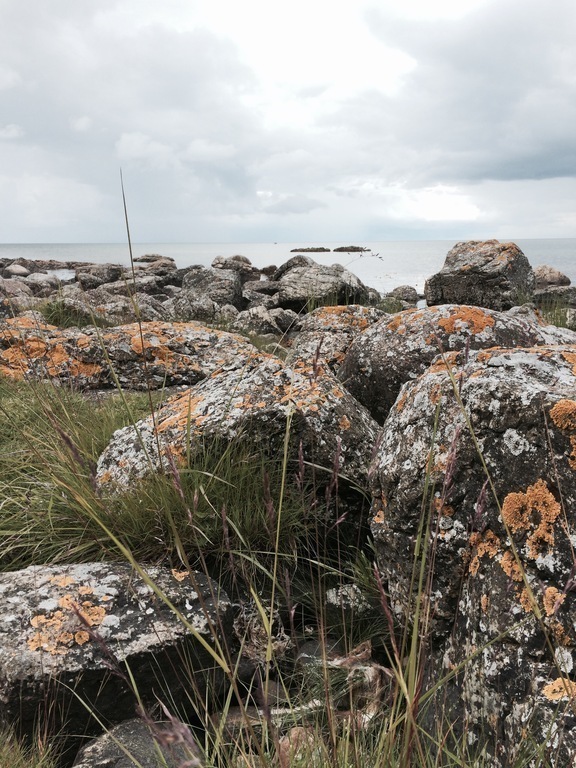 North of Simrishamn, east coast of Scania
