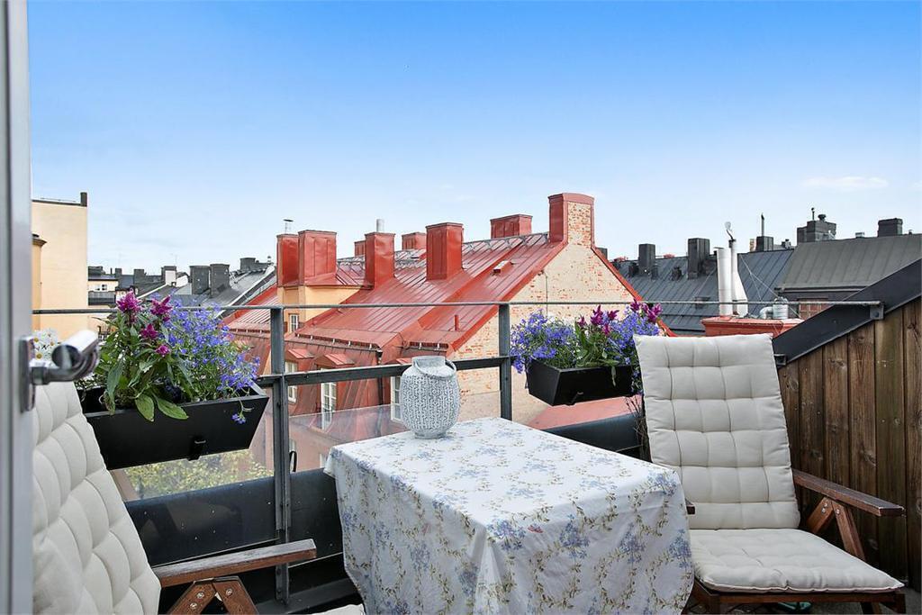 Roof terrace (east/south)