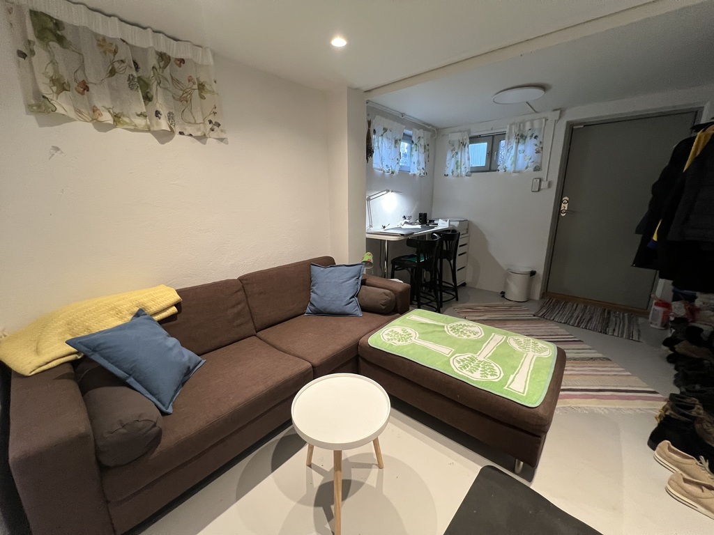 Sofa bed in the basement