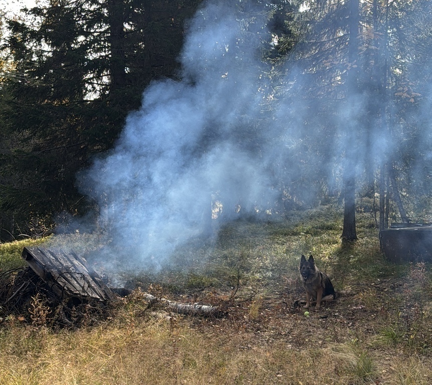 Making a fire with some old wood just beside the "toilet", the toilet is a drycloset outdoors