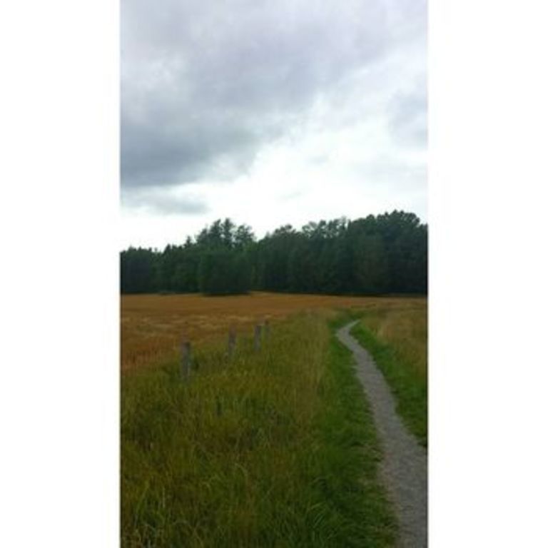 Path to nearest forest 2 min away.