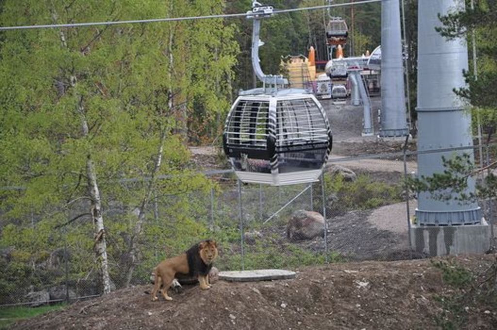 Animalpark Kolmården 45min