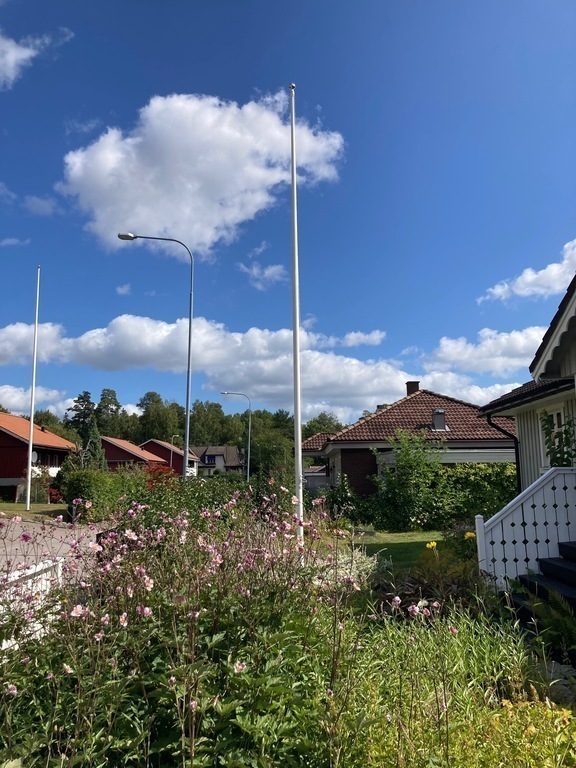 Street during summer