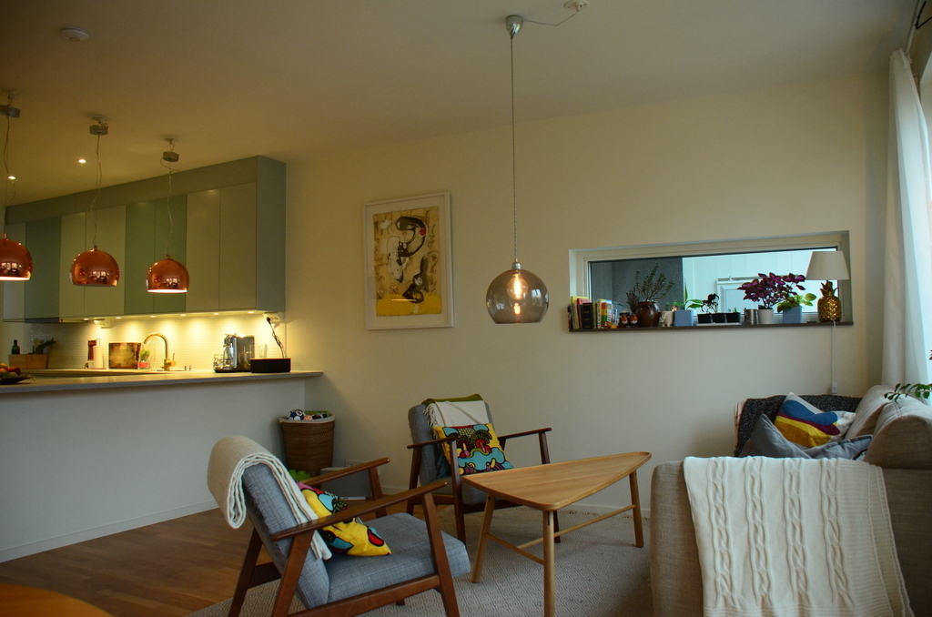 Living room and kitchen