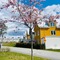 Our small neighborhood - Sörgårdsängen